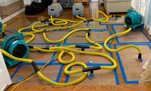 Professional Structural Drying And Dehumidification technician working in Kanawha Falls, WV